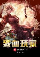 残血玩家大饼无防盗