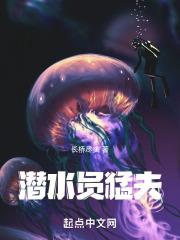 看一下潜水员