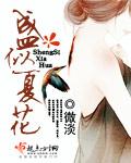 重生之夏花灿烂