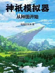 神模拟器能进化到什么程度