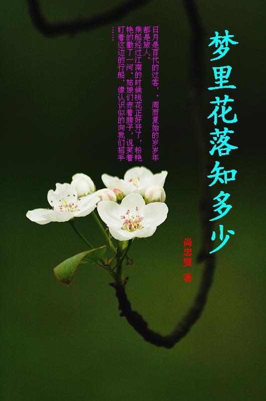 梦里花落知多少人物介绍