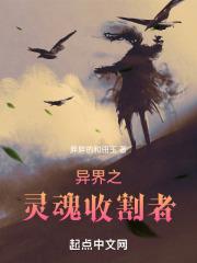 灵魂收割者怎么加点