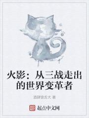 火影三战结束时间