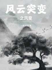 电视剧风云突变多少集