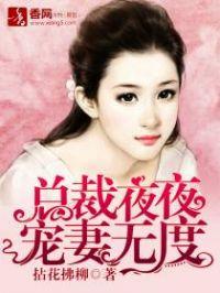 总载夜夜宠妻无度免费