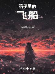 箱子里的飞船图片