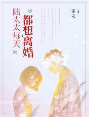 陆太太每天都想离婚宁宁