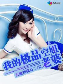 我的极品老婆大概内容