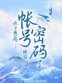 账号密码忘了该怎么办