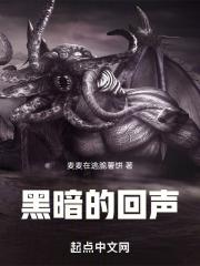 黑暗深处有回声