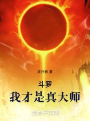 斗罗我才是真大师叶文