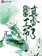 和离后王爷见后求复婚