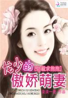 总裁求抱抱龙少的傲娇萌妻全文阅读