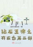 钻石王牌之存在感第二部TXT百度