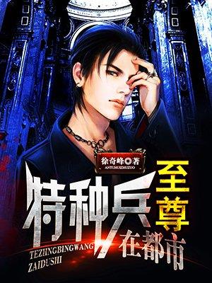 特种兵之至尊兵王