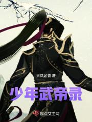 少年武帝录