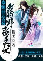 倾世交易:我的野蛮王妃