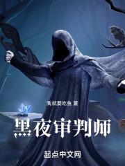 黑夜审判师