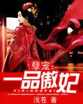 孽宠:一品傲妃