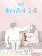 半岛:我的高岭之花