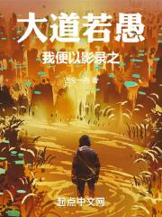 大道若愚,我便以影录之