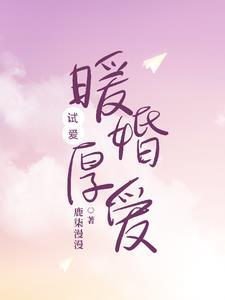 试爱:暖婚厚爱