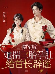 六零铁饭碗:嫁军官后打十三份工