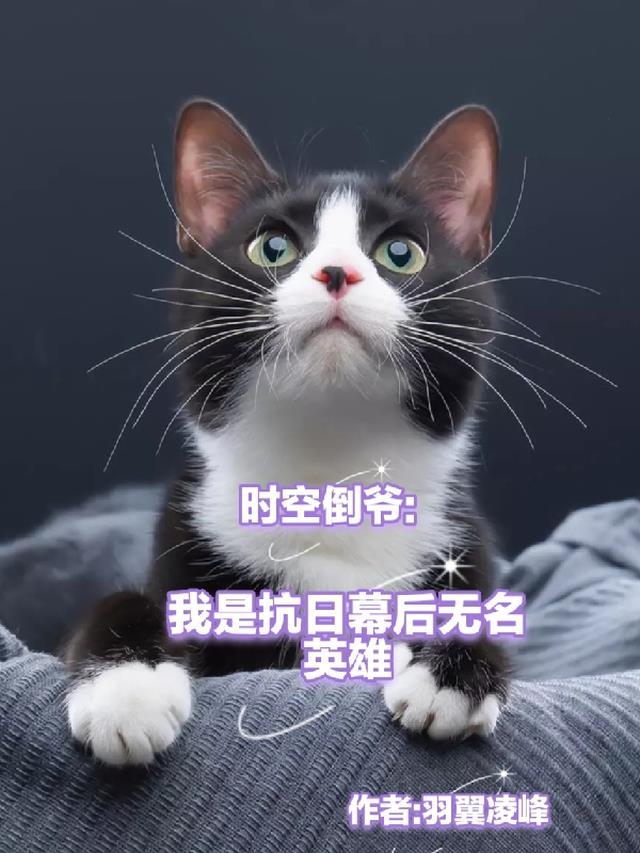 时空倒爷:我是抗日幕后无名英雄