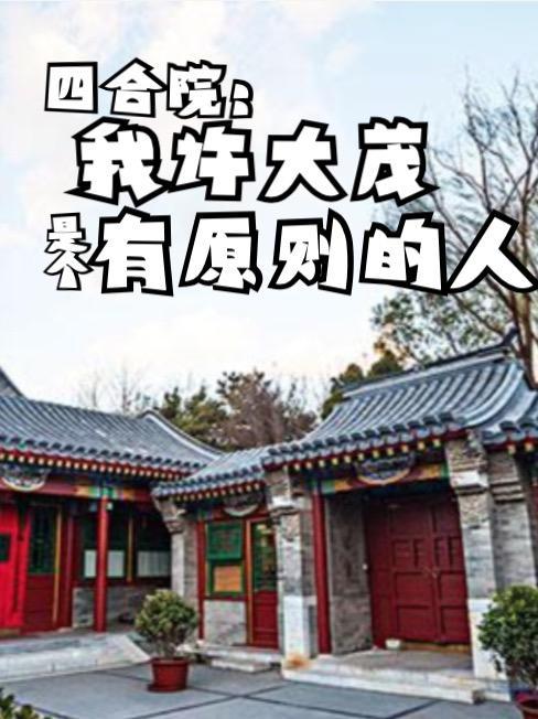 四合院:我许大茂是个有原则的人