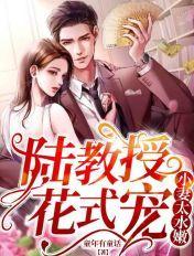 小妻太水嫩:陆教授花式宠