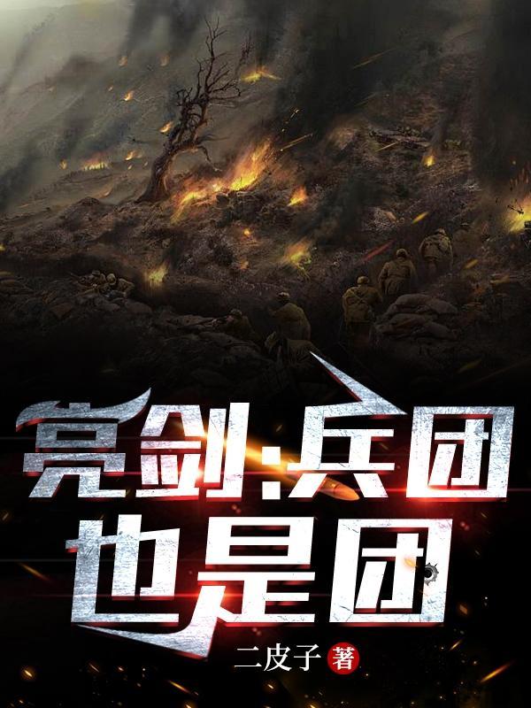 亮剑:兵团也是团