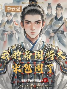 我的帝国将大宋包围了