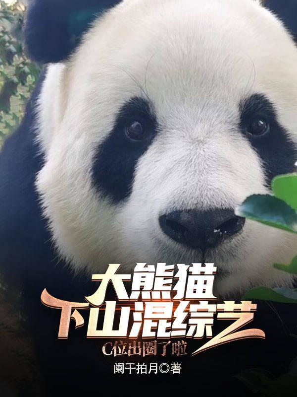 大熊猫下山混综艺,C位出圈啦!