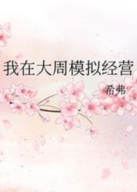我在大周模拟经营