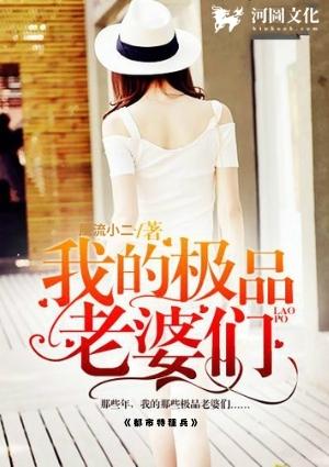 我的极品老婆们