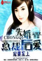 宠妻至上:总裁先婚后爱