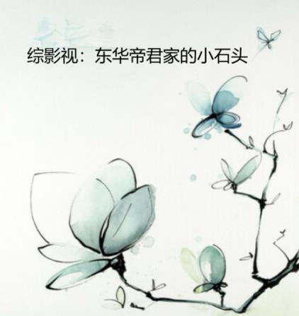 综影视:东华帝君家的小石头