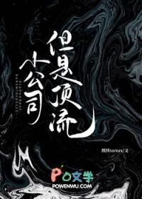 小公司，但是顶流