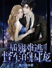 插翅难逃:督军的囚宠