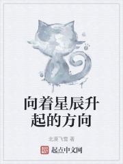 向着星辰升起的方向