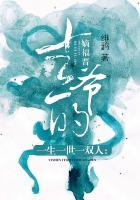 一生一世一双人:十三爷的嫡福晋